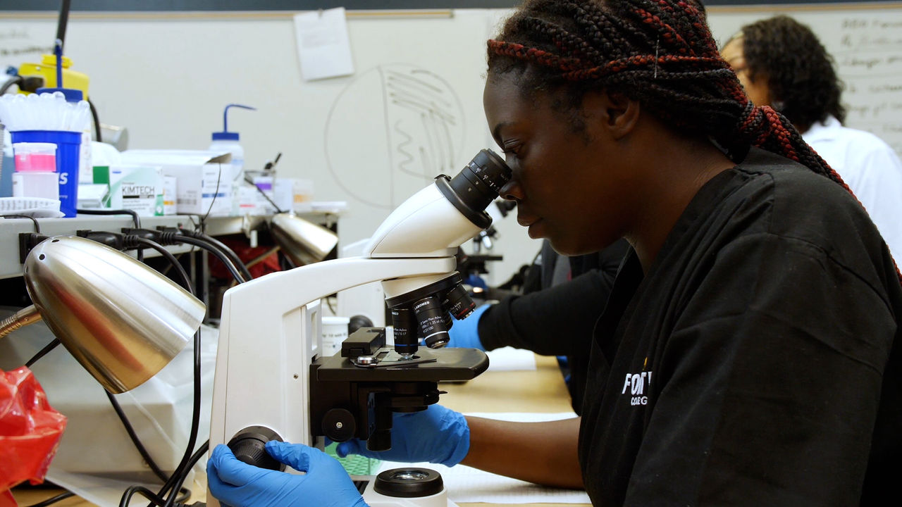 Scientist examining samples under laboratory microscope