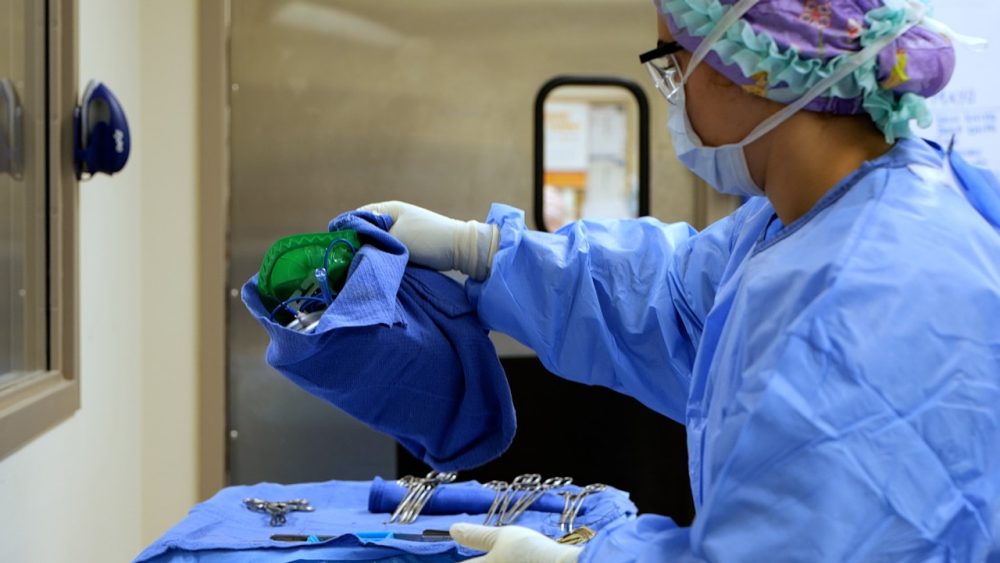 How to Become a Sterile Processing Technician