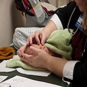 The day after leaving the hospital, we meet with a nurse practitioner for a quick checkup and some pratical advice on breast feeding.