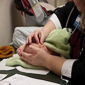 The day after leaving the hospital, we meet with a nurse practitioner for a quick checkup and some pratical advice on breast feeding.