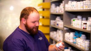 Image of Pharmacy Technician: Job Description, Requirements, and Outlook