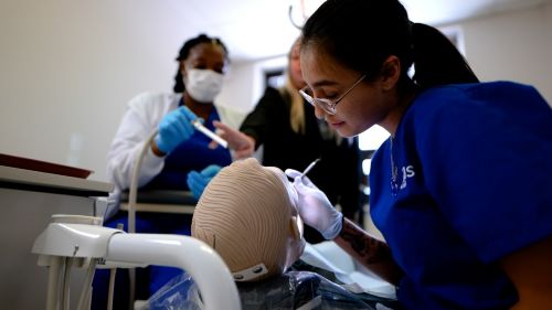 Image about Dental Hygienist vs Dental Assistant: What's the Difference?