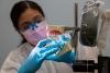 Beyond the Dentist’s Chair: Career Opportunities for Dental Assistants image