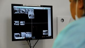 Image of 7 Dental Hygienist Skills