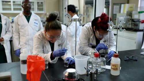 Image about Medical Lab Technicians: Essential Healthcare Professionals in Baton Rouge