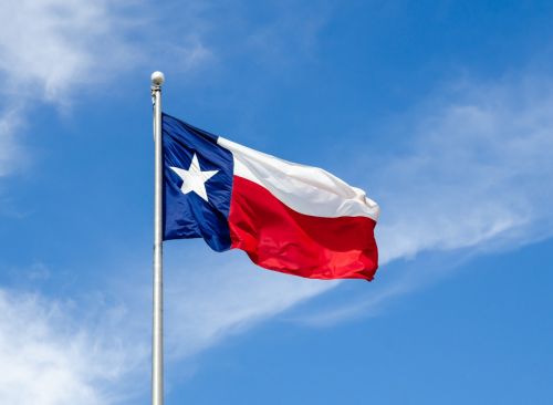 Image about Pioneering Women in Texas Nursing